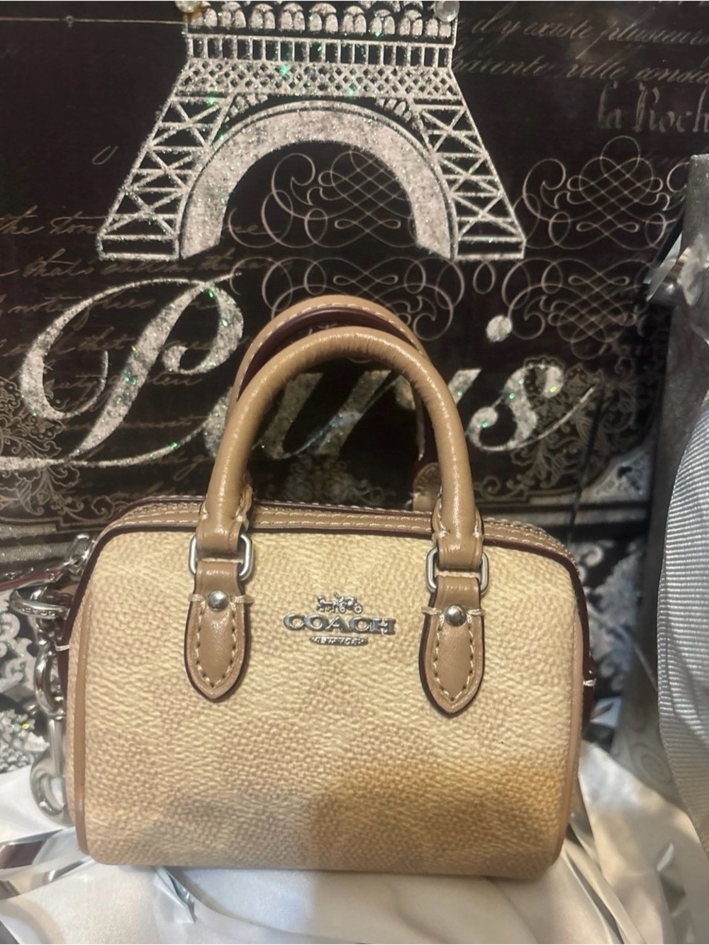 Coach Rowan Mini Signature Canvas Bag Charm